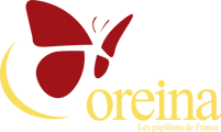 Oreina