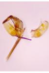 Ocnerostoma friesei