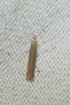 Coleophora