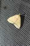 Herminia grisealis