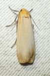 Katha depressa