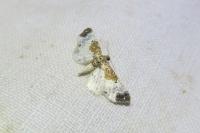 Eupithecia breviculata