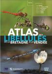 actu 41
